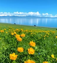 travel-image