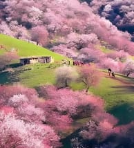 travel-image