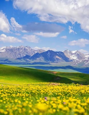 banner-image-one