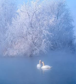 banner-image-one